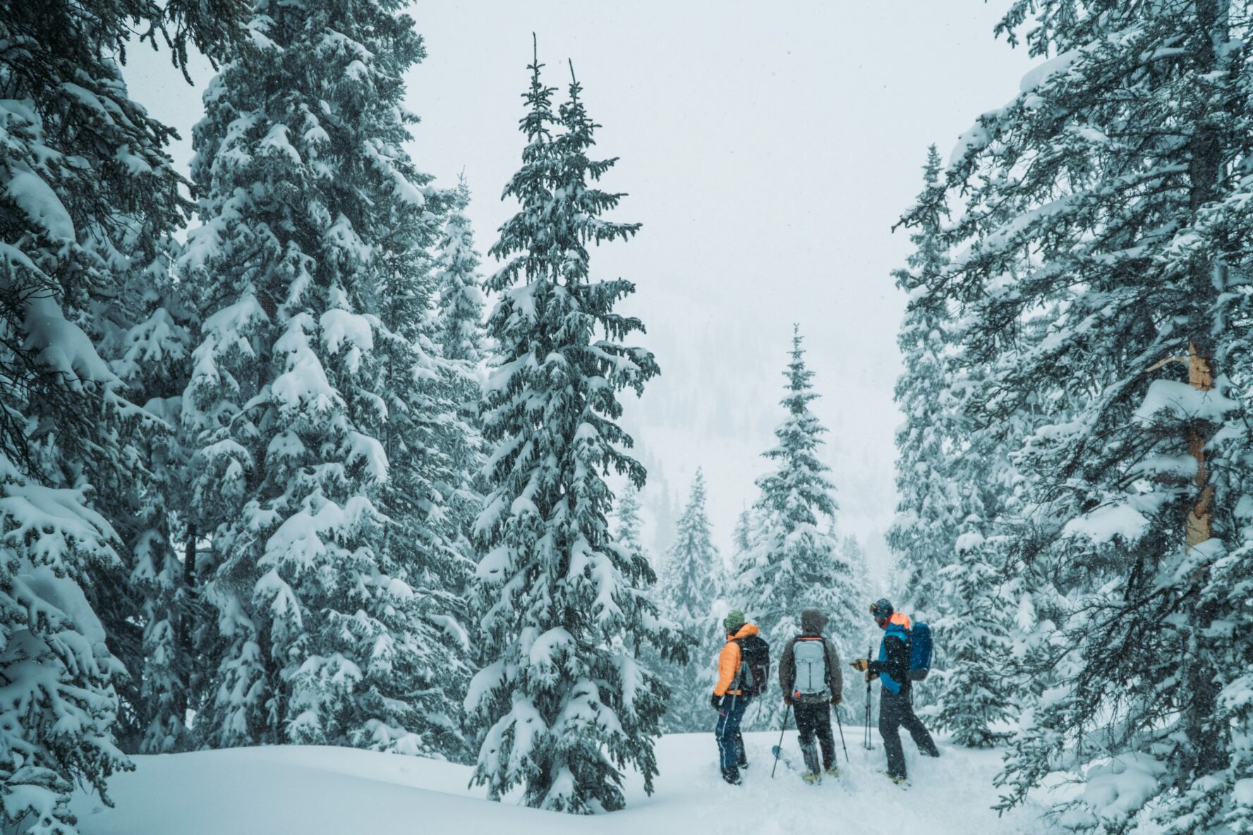 Tree skiing in San Juan