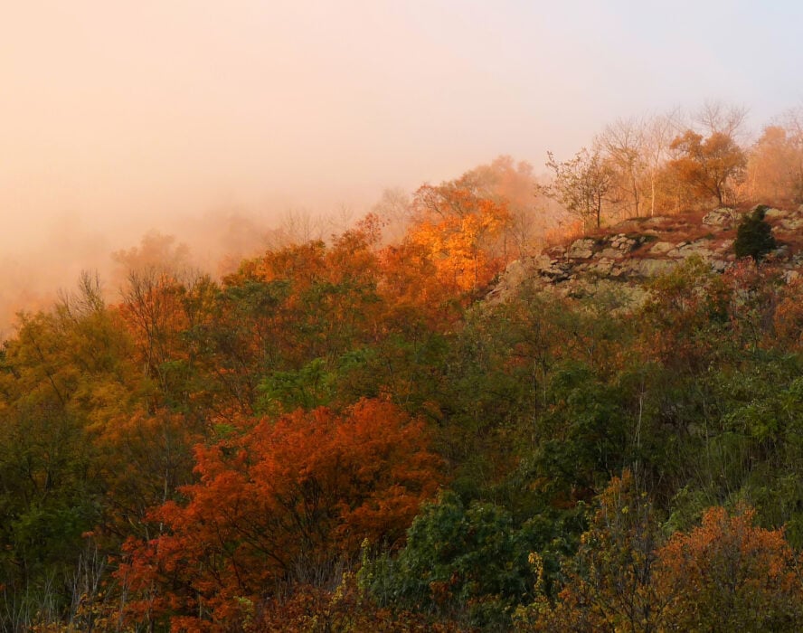 The Appalachian Trail runs right across the top of Mt. Minsi in Pennsylvania, or “Painsylvania,” as some refer to it. This is where your willpower gets put to the test but luckily you get breathtaking scenery in the Delaware Water Gap to make it all worth it.