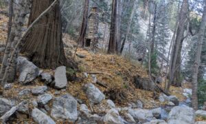 The ruins of a cabin in Ice House Canyon during the fall