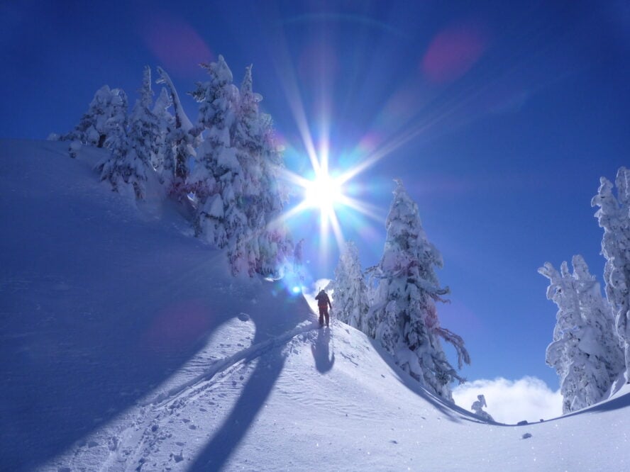 Mitchell Trees is another fun and accessible backcountry ski area near the Mt. Hood Meadows Ski Resort