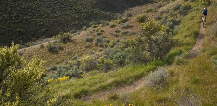 Specialized trails, such as found on Polecat Loop in the mountain town of Boise, allow the design to cater to the user group.