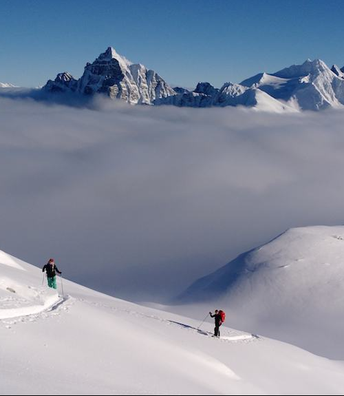 Snowy meadows around Canadian Rockies