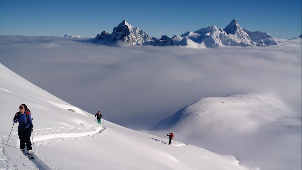 Snowy meadows around Canadian Rockies