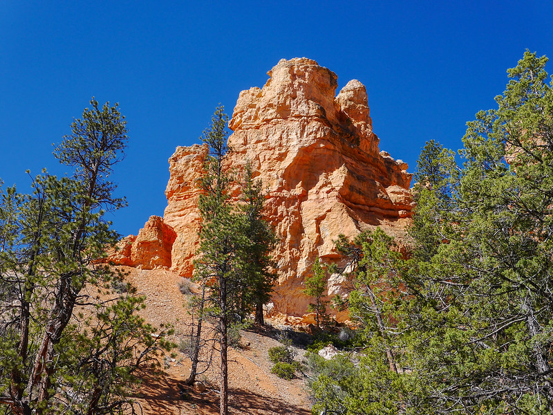 Unique rocks on Bryce Canyon