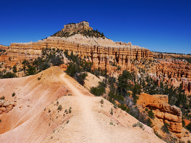 A trail in Bryce Canyon