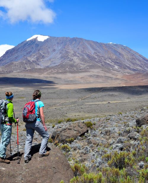 Climbing Kilimanjaro via the Lemosho Route.