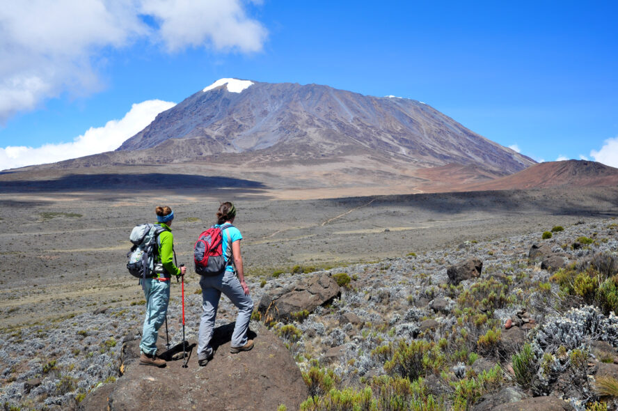 Climbing Kilimanjaro via the Lemosho Route.