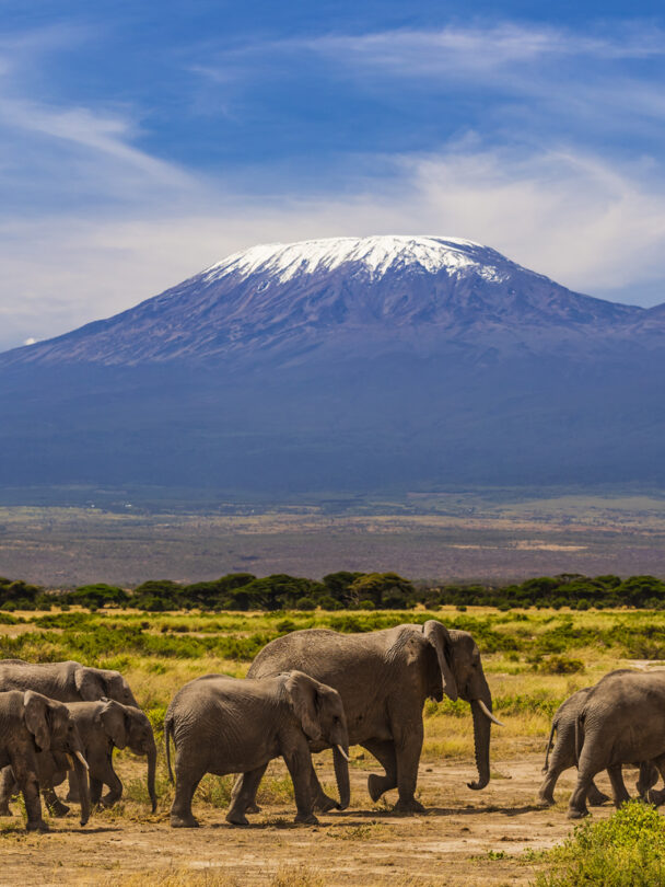 Machame route 7 days