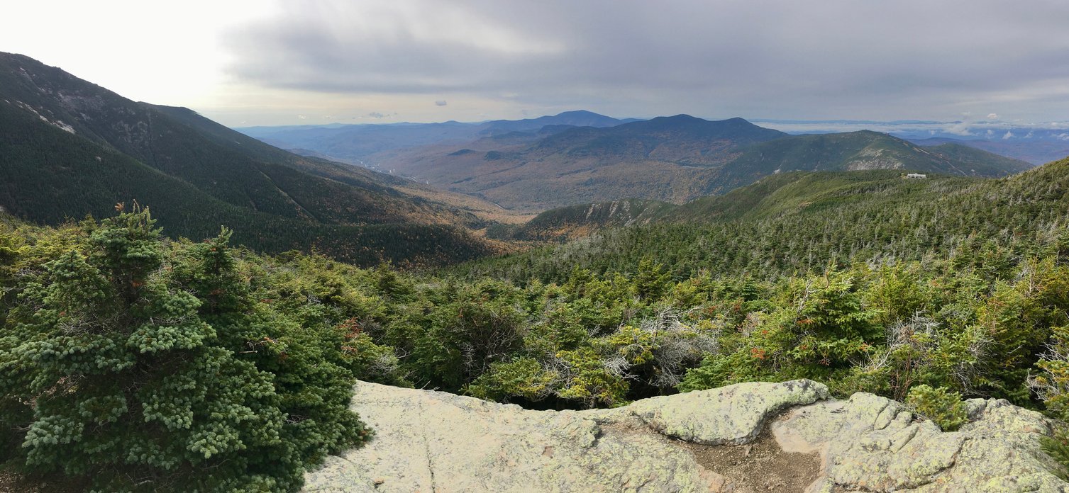 View of the forest from one of the Mount Washington lookouts