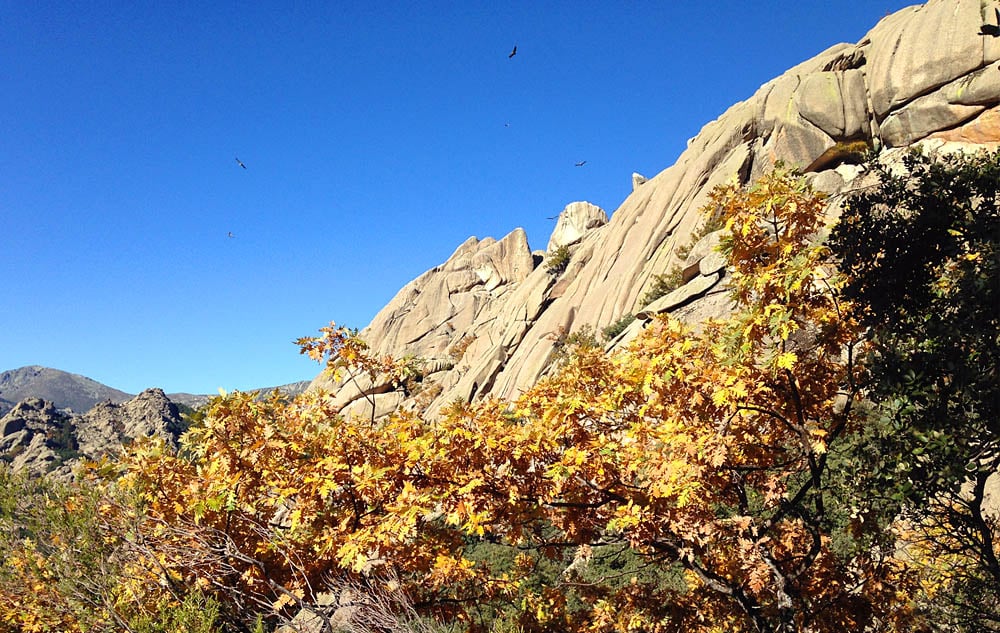 A cliff face with some plantlife in Guadarrama