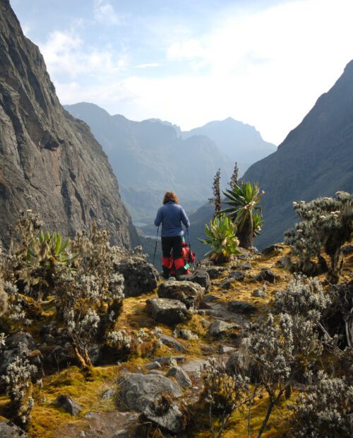 Guided Hiking in the Rwenzoris Mountains, Uganda