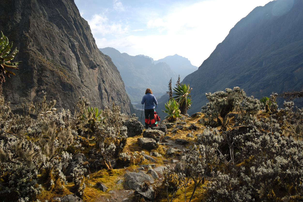 Steep steps on mountain path to the green alpine valley