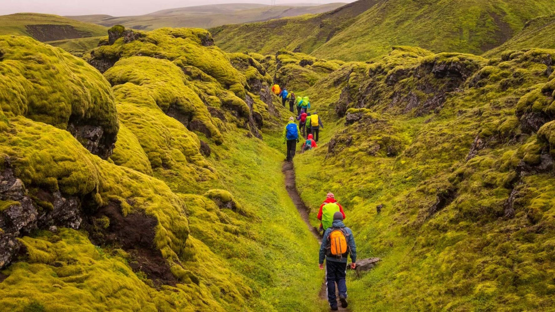A mossy valley on Iceland’s Volcanic Trails
