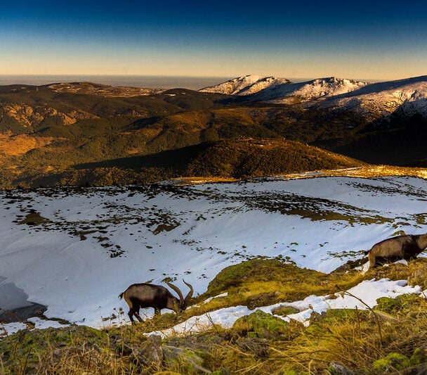 Trail running tour in the Guadarrama Mountains