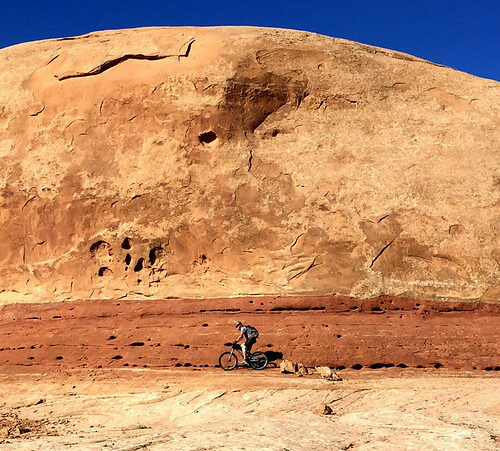 Mountain Biking in Navajo Rocks