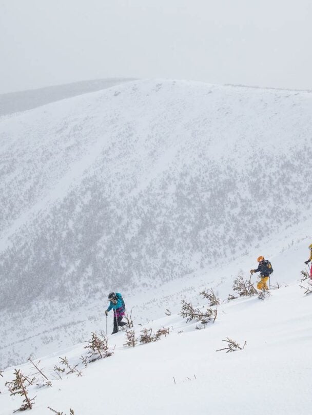 AIARE Avalanche Rescue in New Hampshire