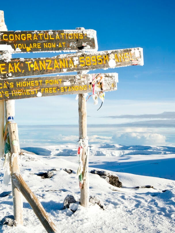 Climbing Kilimanjaro via the Lemosho Route.