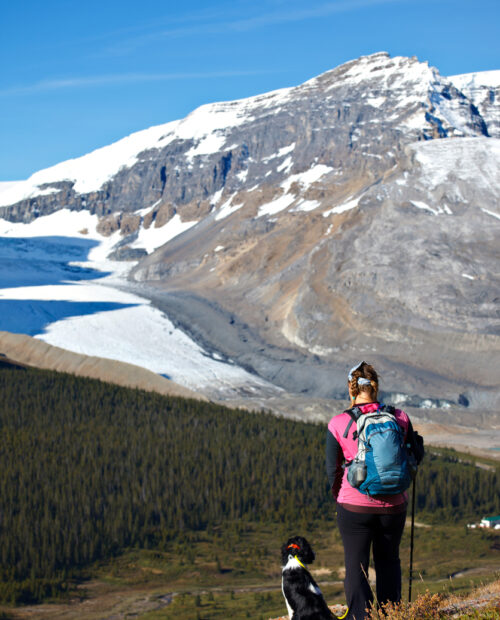 Trekking in the Plain of the Six Glaciers