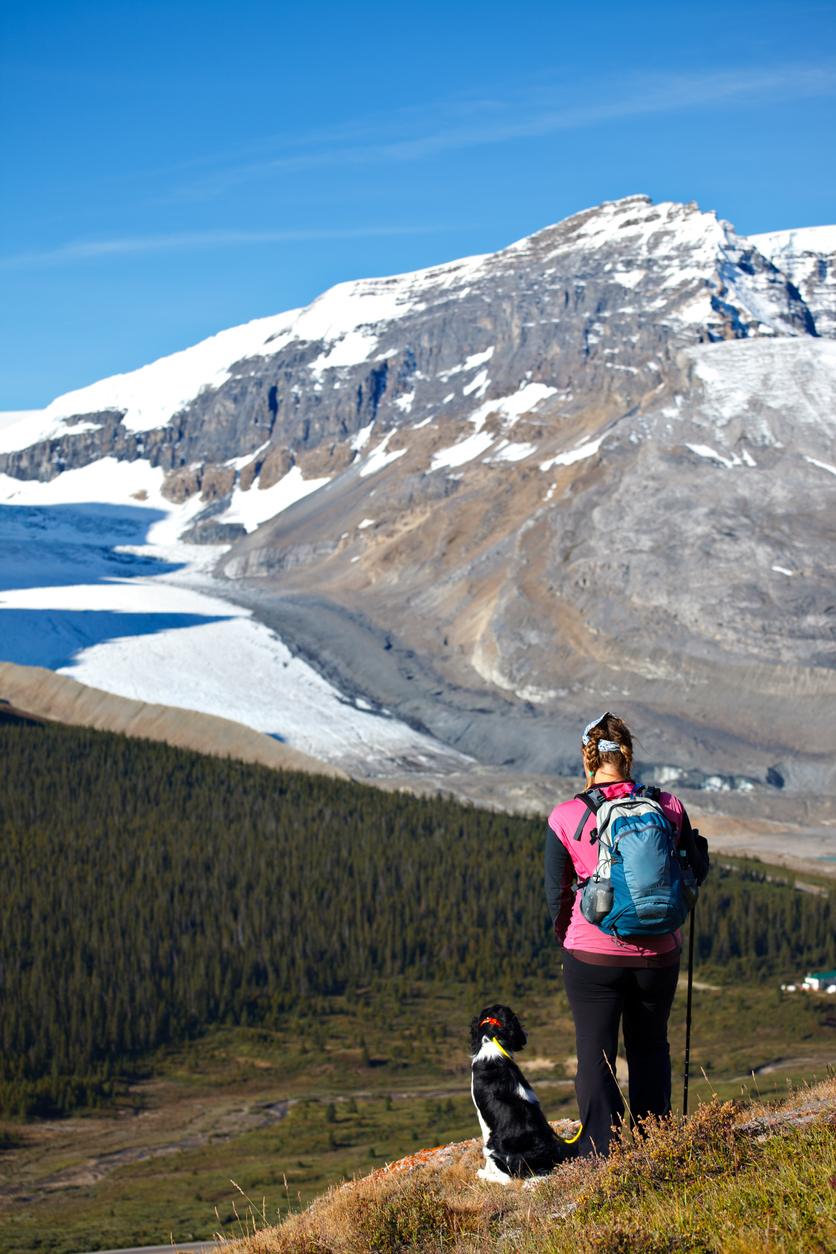 Trekking in the Plain of the Six Glaciers