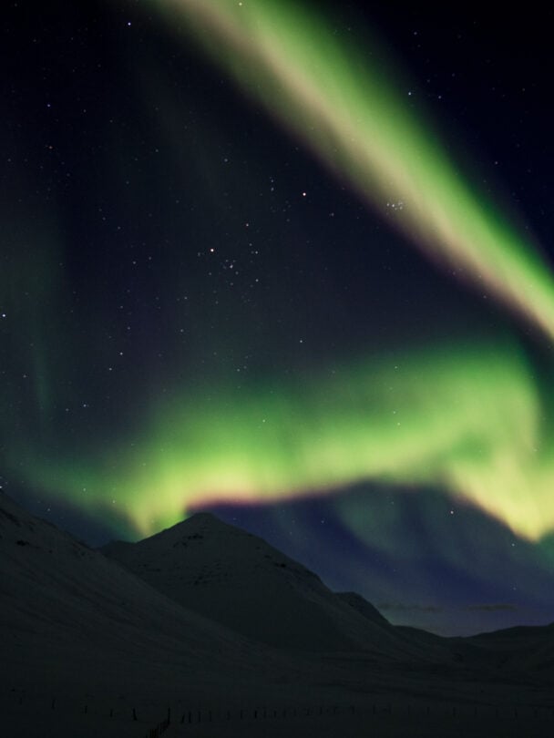 Discover Iceland’s Winter Wilderness mobile version