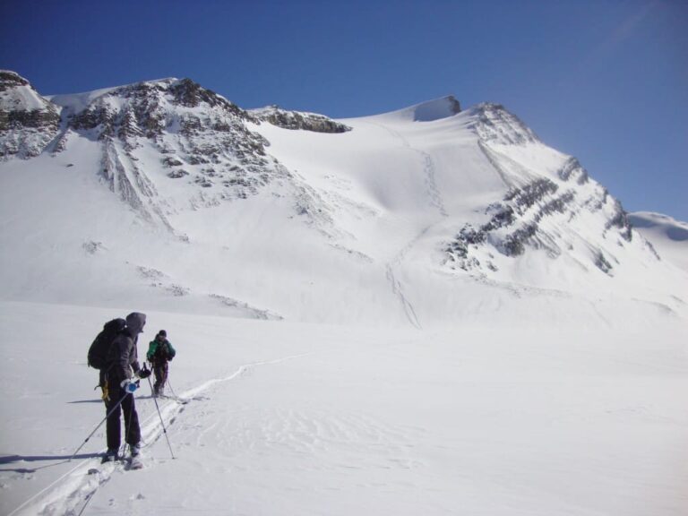 Skiers talking on a mild section of the Bow Yoho traverse