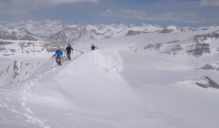 Skiers ascending a slope on the Bow Yoho traverse in Canada