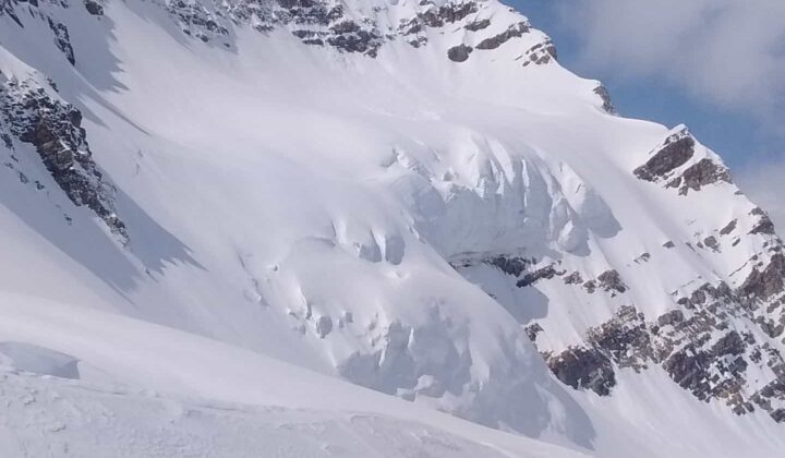 A beautiful white slope, part of the Bow Yoho traverse area