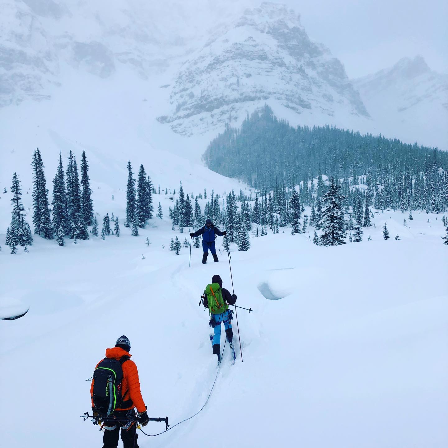 A line of skiers in Lake Louise