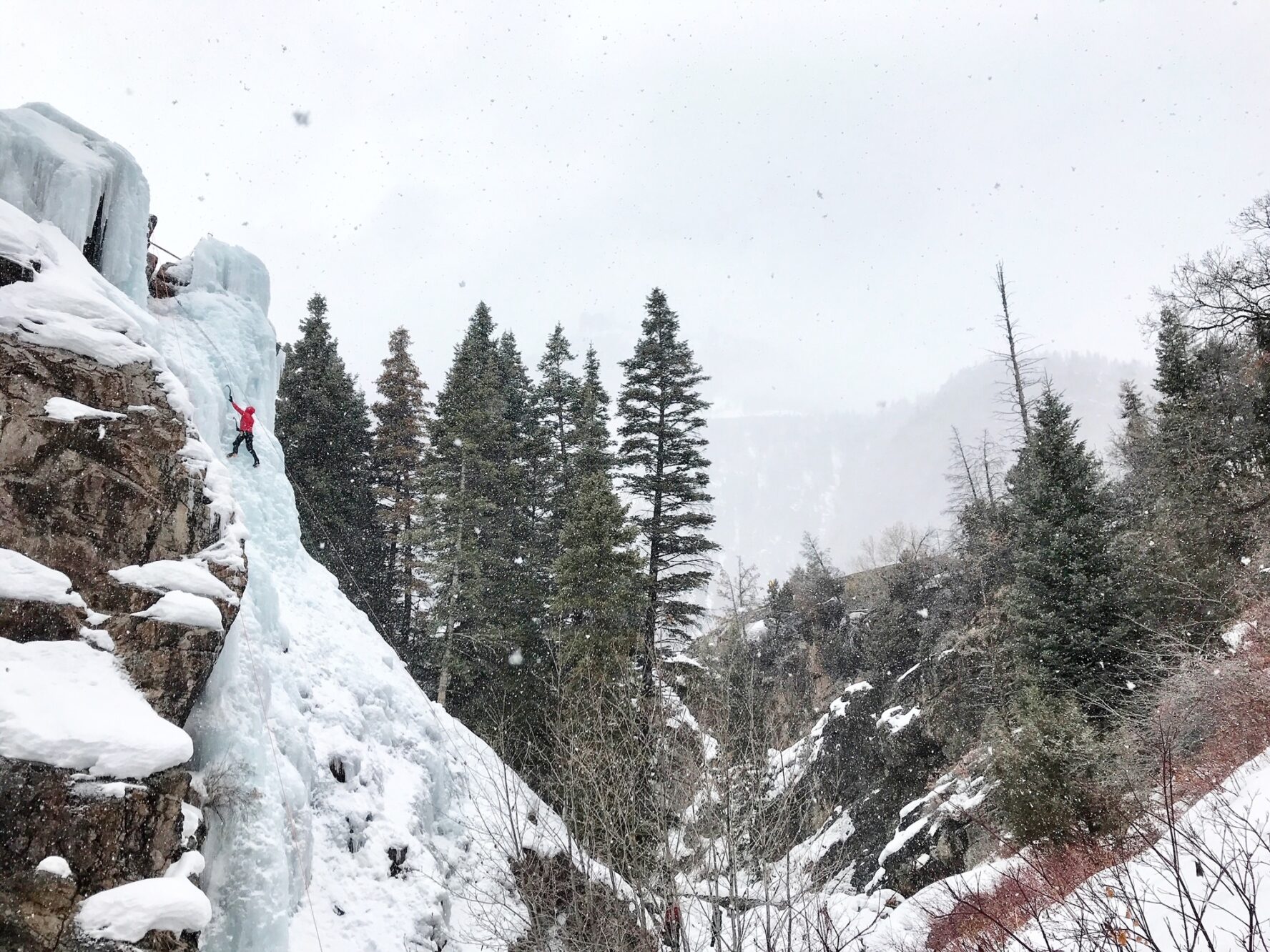 Scottish Gullies in Ouray