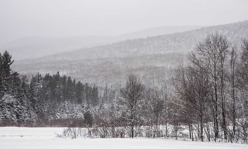 The landscape of the White Mountains