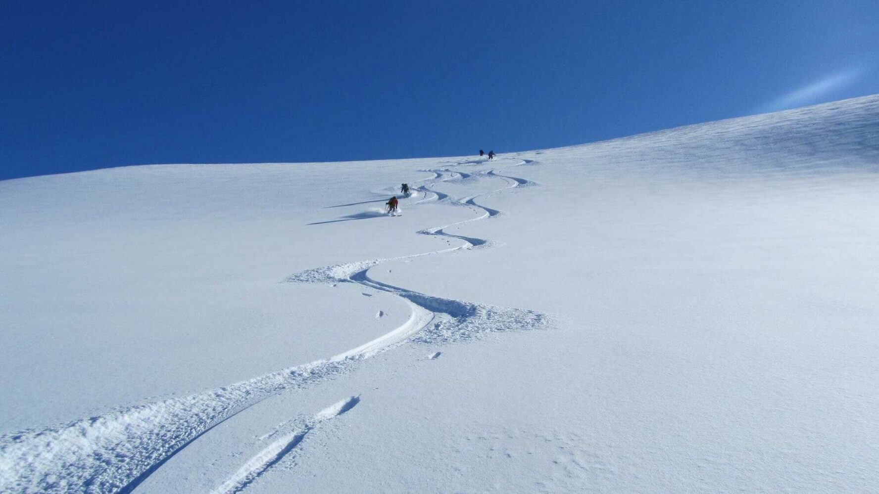Tourers ascending a slope on the Wapta Traverse