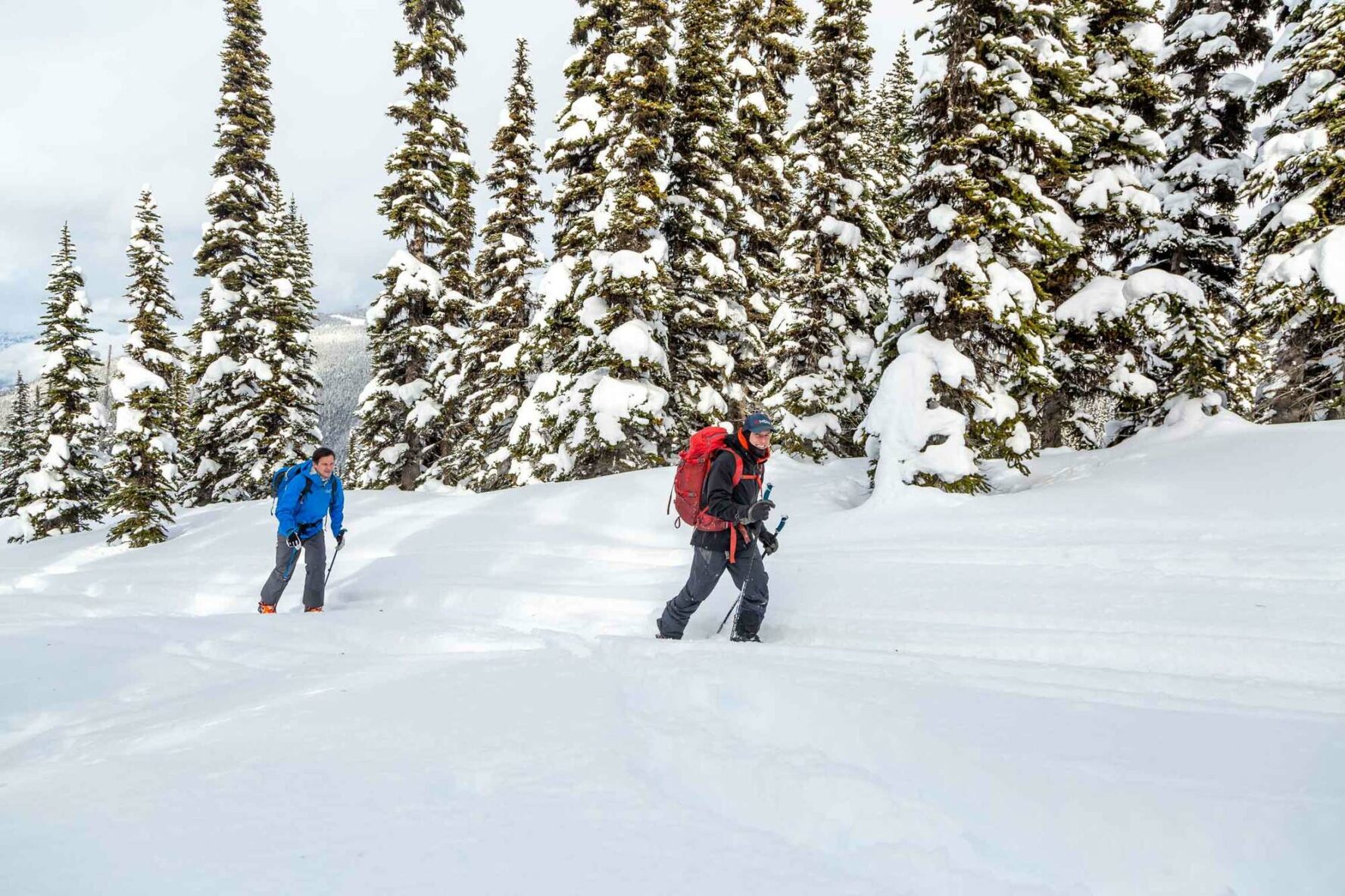 Field day in Whistler during an AST Level 1 course