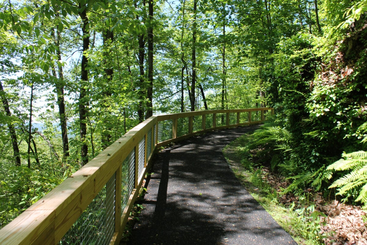 Walking path in North Georgia Mountains with new, wooden hand rail. Photo taken at Amicalola Falls