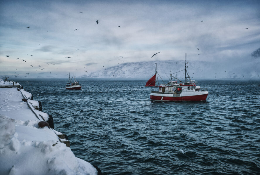  two fishing boats overflown by a scattered flock of birds sailing through a misty fjord