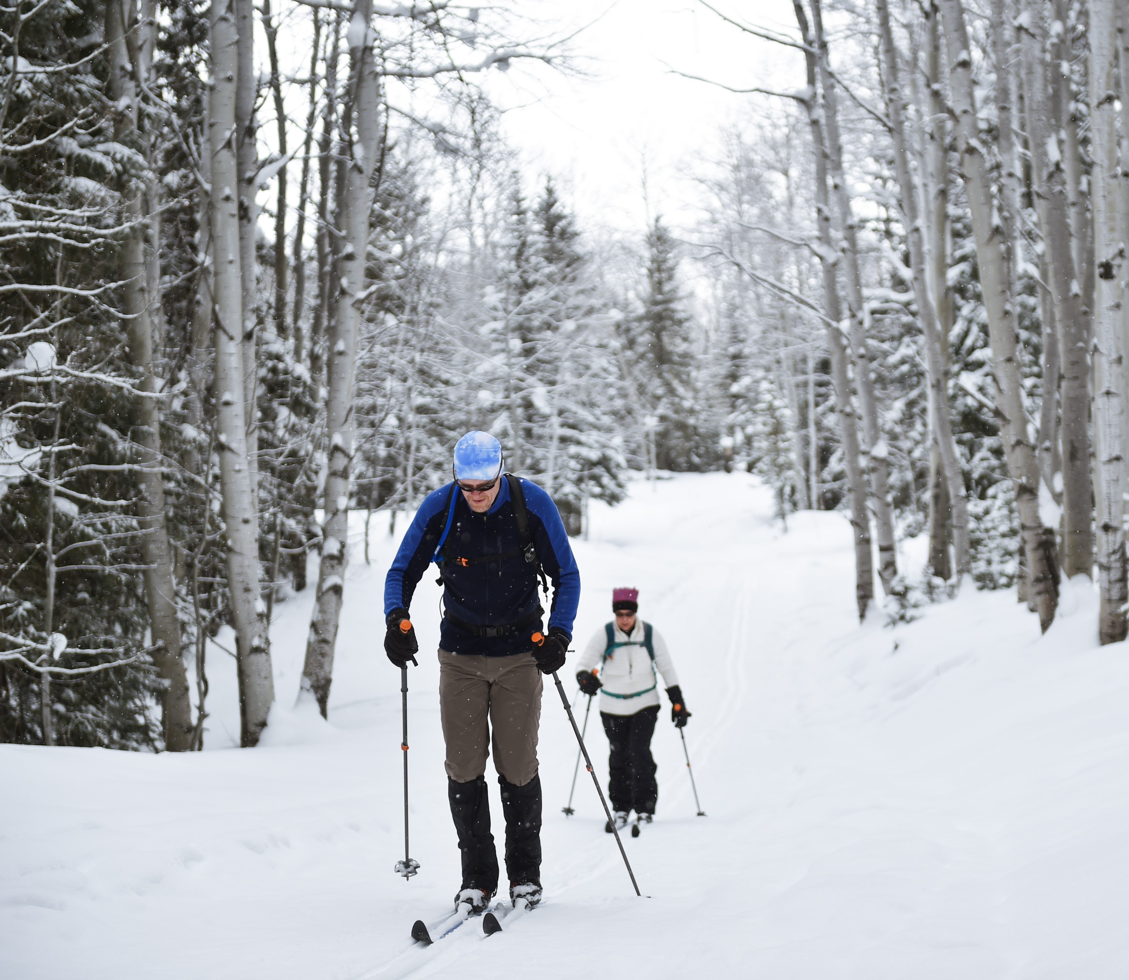 Crested Butte Guided Hiking Colorado Backcountry Guide Service