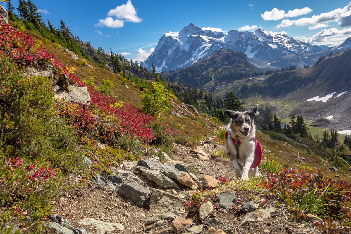 best backpacking trips in the north cascades