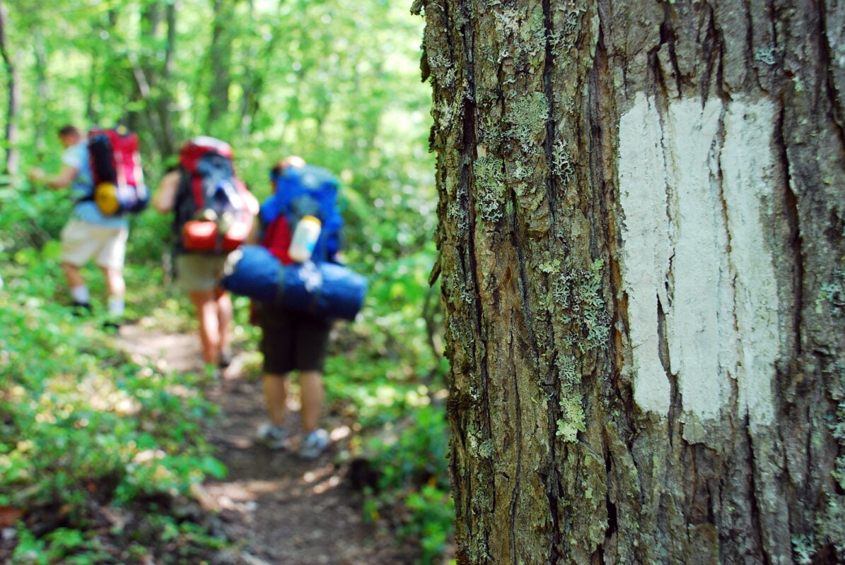 Backpackers hike past a white stripe on the Appalachian Trail