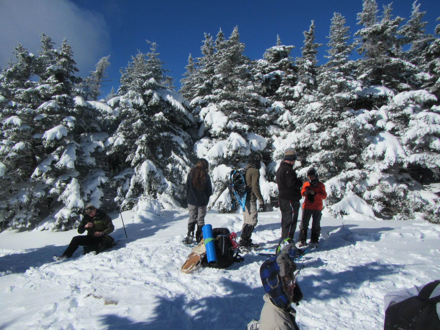 Snowshoers in the Catskill Mountains