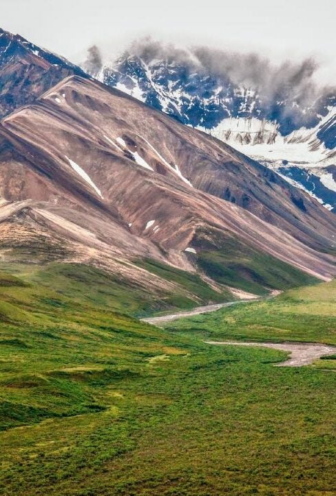 Rusty hills around Denali