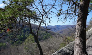 Gorgeous views of the rolling Blue Ridge Mountains from the Tree Ledge on Stone Mountain.