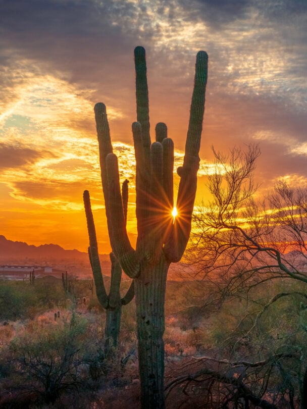 Hiking in Saguaro National Park, Arizona