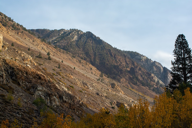 A canyon in Bishop Creek near the Owens River Gorge