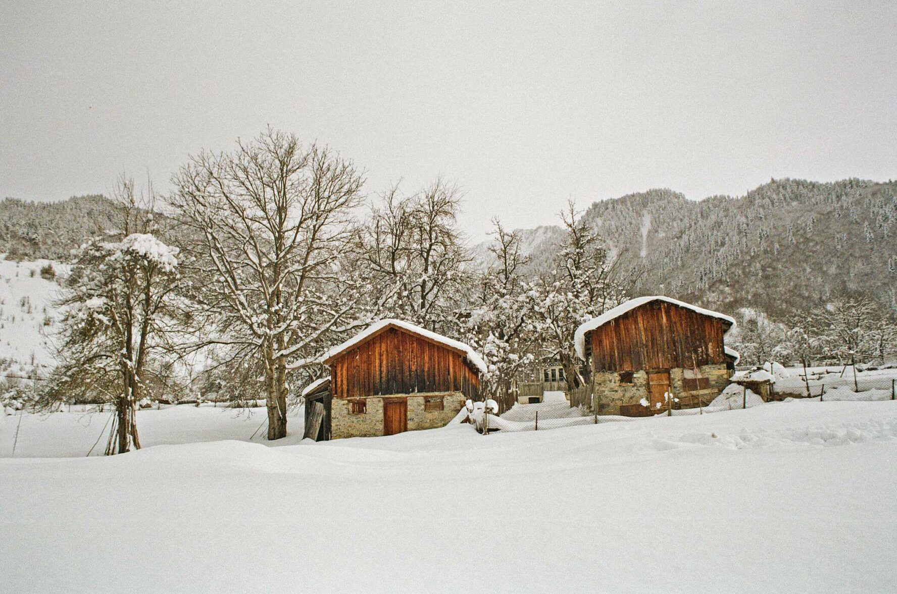 Cozy houses in Racha