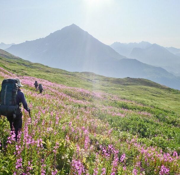 Backpacking Tour of Denali's White Tail