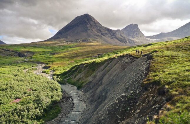 A valley in Denali