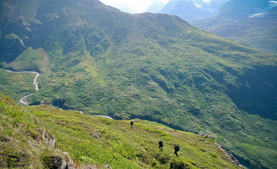 The green mountains of Denali.