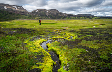 A hiker walking on a green valley in Iceland.