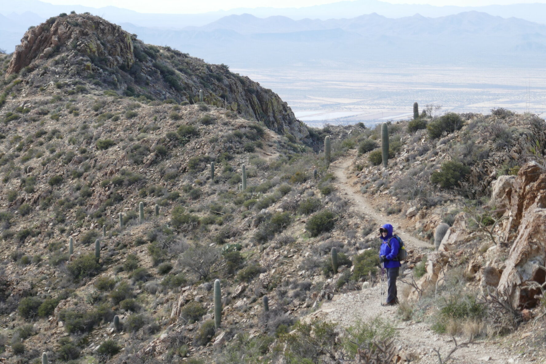 A hiker near Wasson Peak in Saguaro National Park