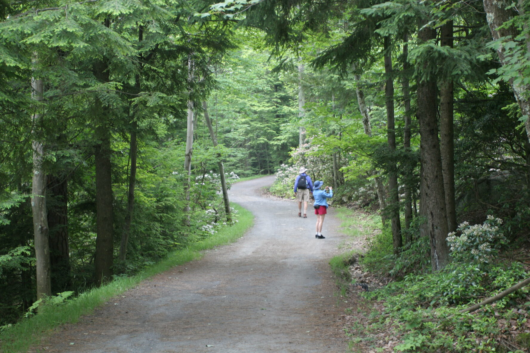 Hiking Adventure in the Gunks Region, New York