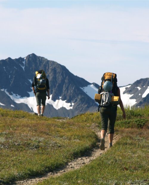 mt rainier guided hikes
